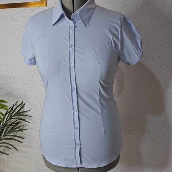 Plus Short Sleeve Office Shirt, Light Blue