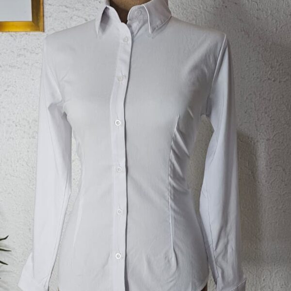 Plus Long Sleeve Office Shirt, White